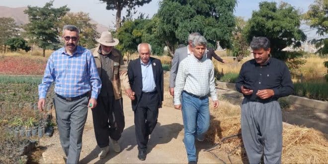 تمجید «پدر بلوط ایران» از برنامه‌ریزی راهبردی نهالستان گریزه سنندج